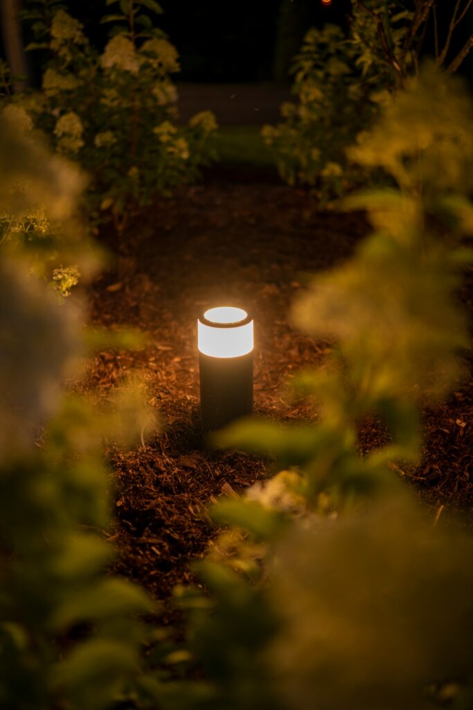 Illuminazione del giardino