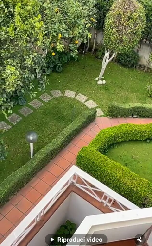 Siepi e bordure modellate – Giardini Fioriti, giardinieri a Caserta