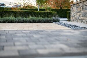 Progettazione giardini
