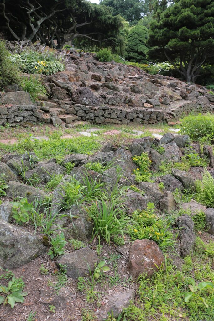Aiuola paesaggistica mediterranea con roccette e lavanda