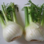 Finocchio