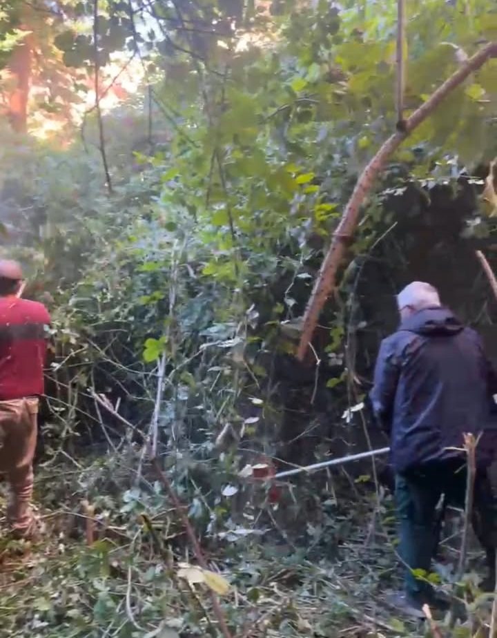 Giardino abbandonato invaso da rovi a Capua, prima della pulizia