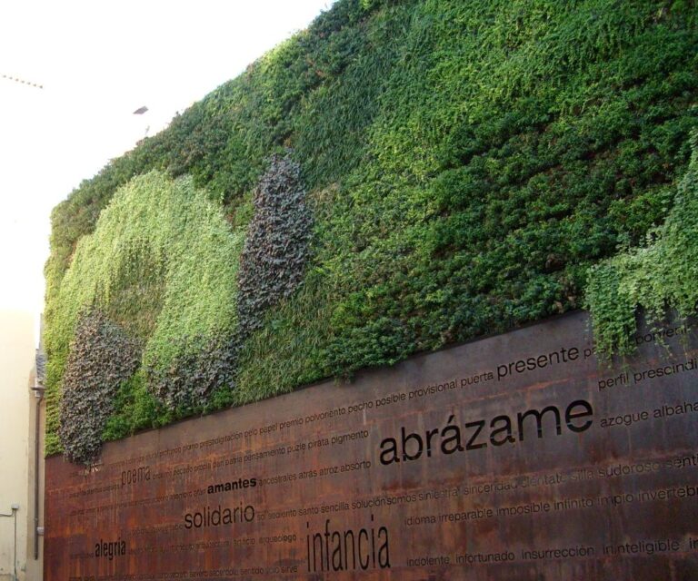 Parete verde verticale su un muro