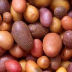 Patata
