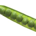 Fava e pisello