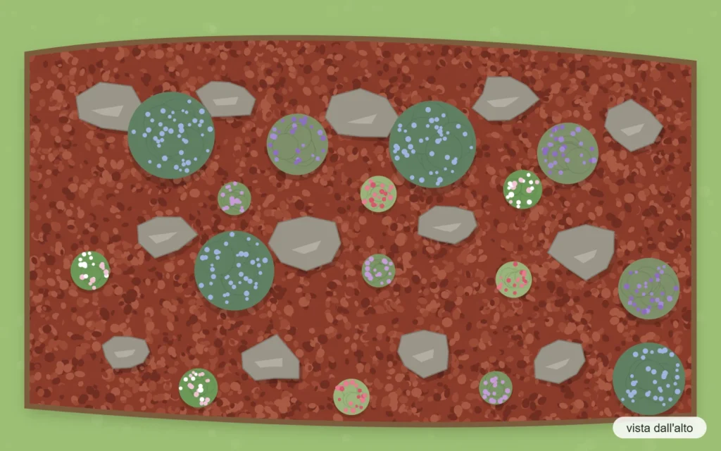 Schema d'impianto vista dall'alto: aiuola in pendenza con rosmarino, lavanda, timo, sedum