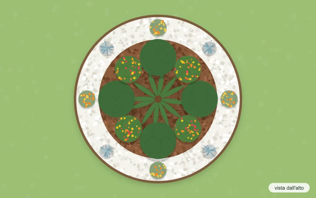 Schema d'impianto vista dall'alto: aiuola tonda centrale con palma nana, pittosporo nano, lantana, gazania