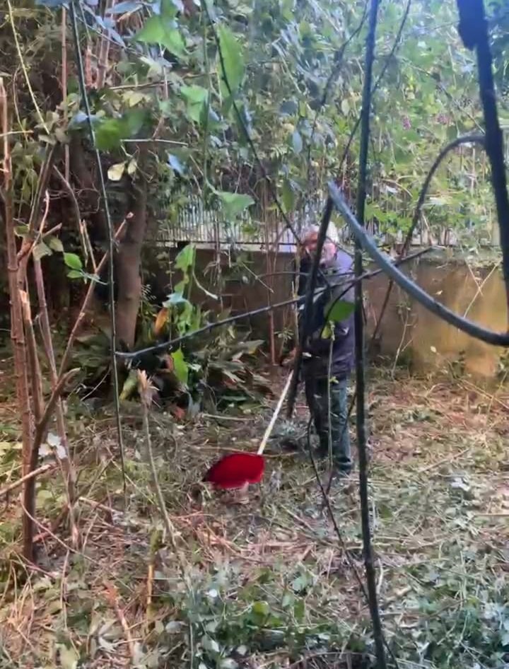 Terreno ripulito da rovi e sterpaglie dopo il taglio