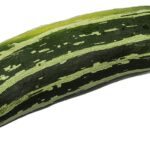 Zucchina e zucca